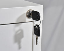 Load image into Gallery viewer, Heavy Metal Vertical Filing Cabinet